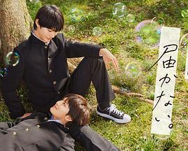 天天看天天摸夜夜摸夜夜操海报剧照